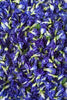 Butterfly Pea Flowers Naturally Thai Shop