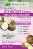 Green Lotus Pueraria mirifica 1