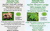 Thai Black Ginger & Jiaogulan (Gynostemma pentaphyllum) Capsules