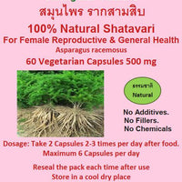 Naturally Thai Shatavari Capsules 500mg