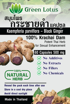 Green Lotus Thai Black Ginger Kaempferia parviflora 1